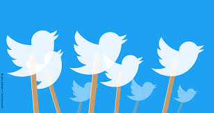 Exploring Twitter Development: Top Sites to Buy Quality Followers